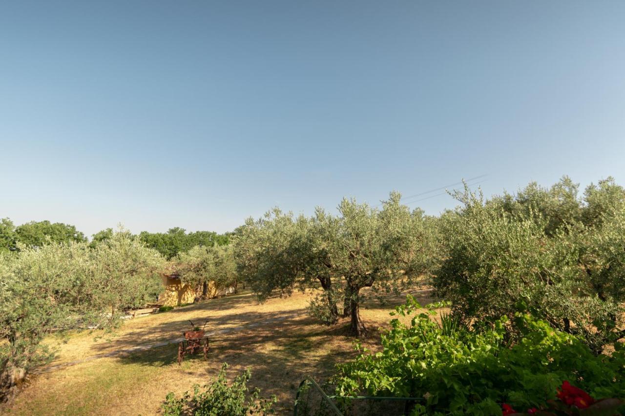 Agriturismo La Rocca Assisi Petrignano Dış mekan fotoğraf