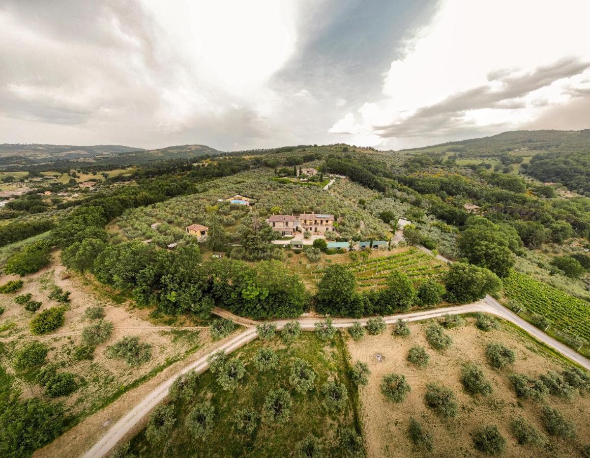 Agriturismo La Rocca Assisi Petrignano Dış mekan fotoğraf